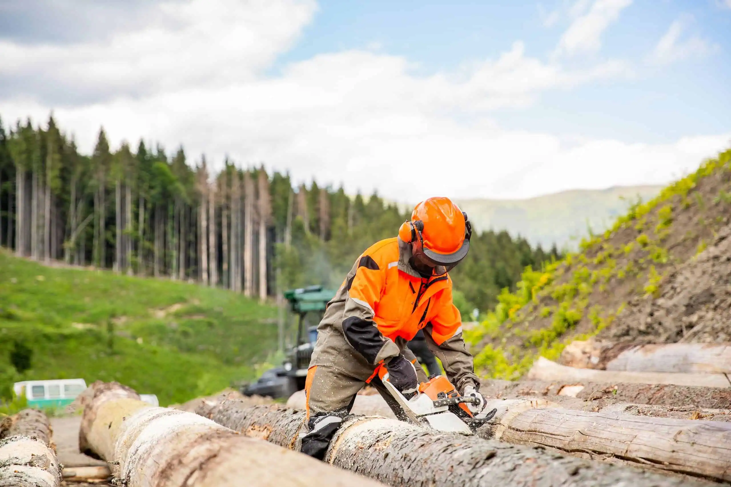 Arborist Insurance North Carolina