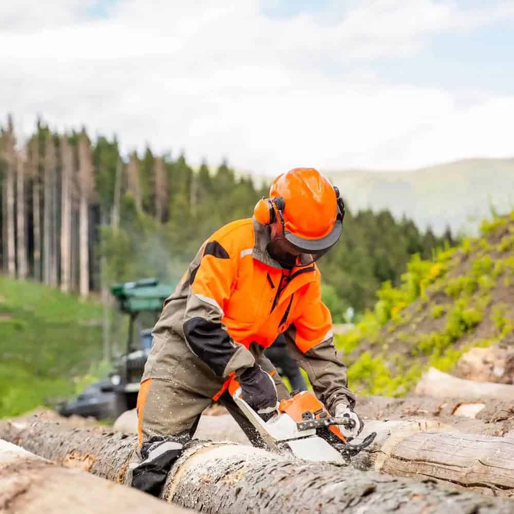 Arborist Insurance North Carolina