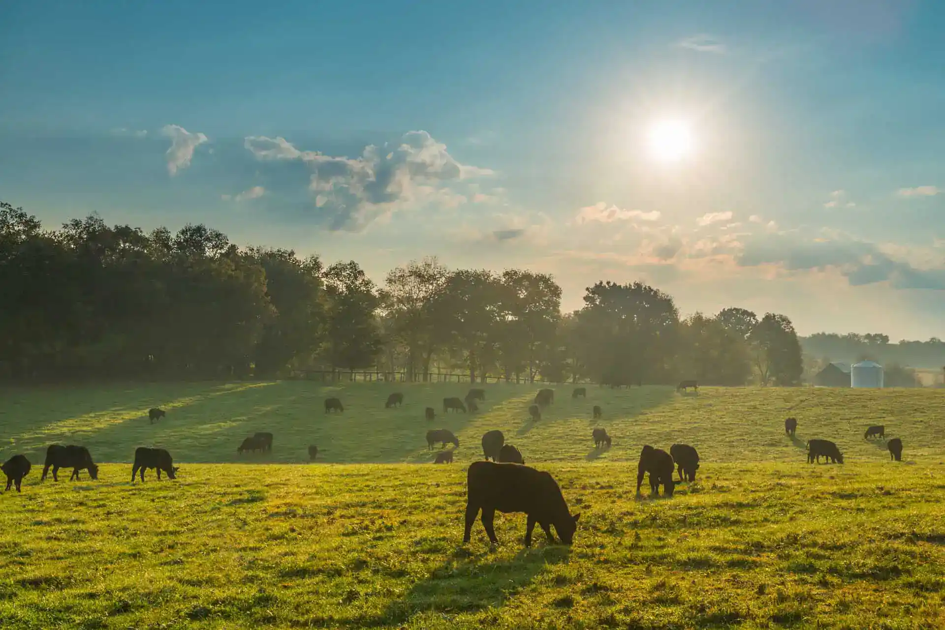 Farm & Ranch Insurance North Carolina